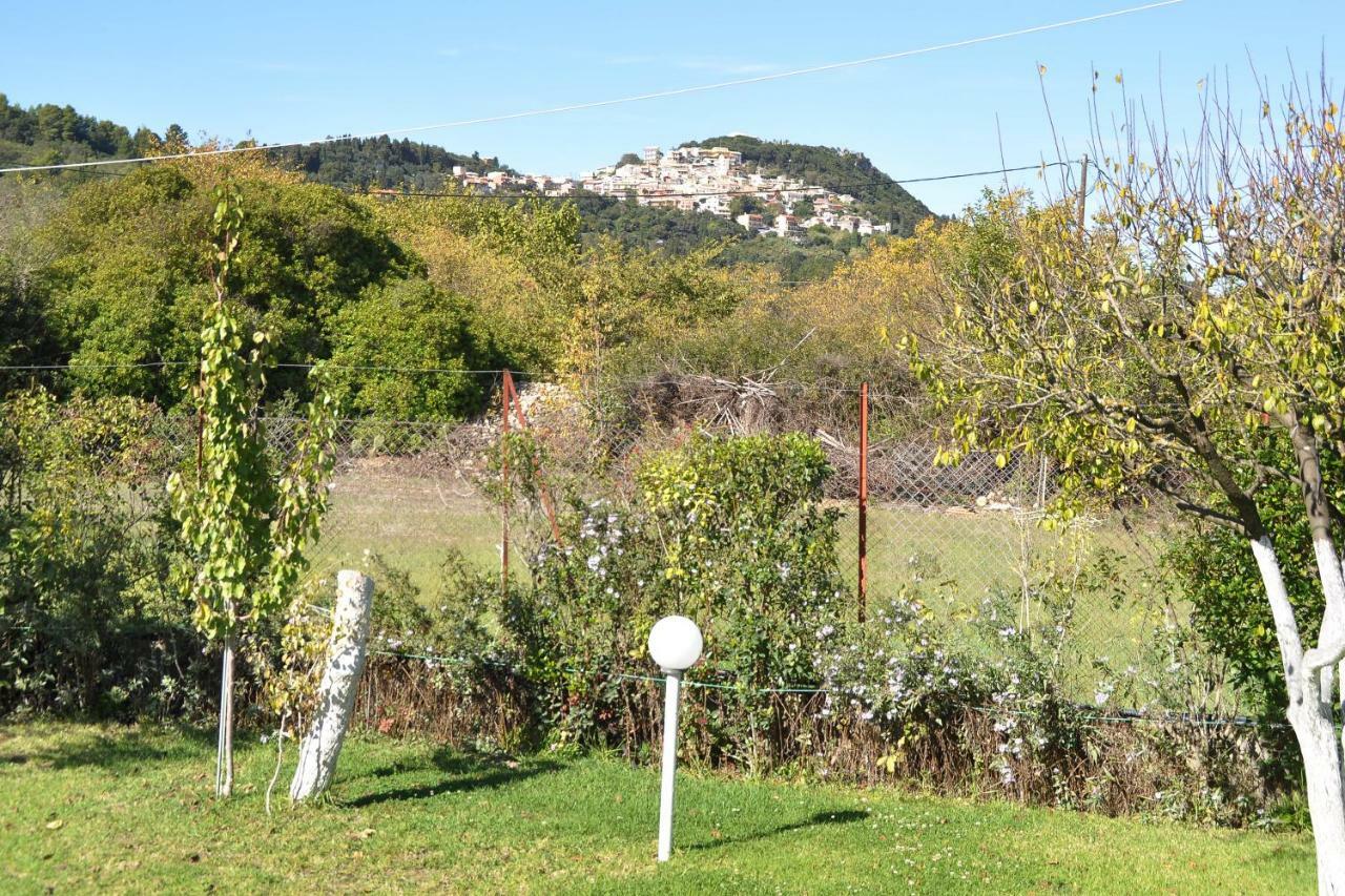 Skafonas Apartments Pelekas Dış mekan fotoğraf