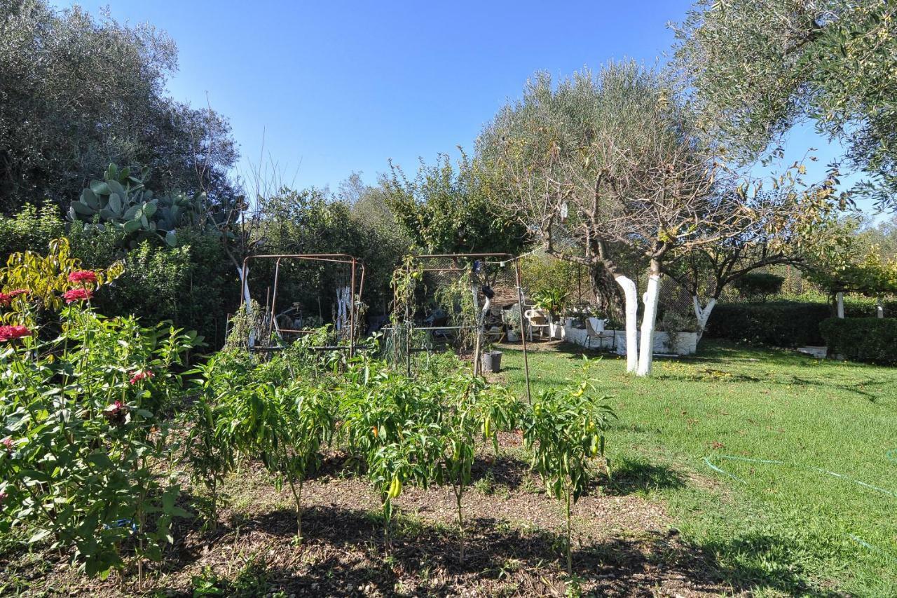 Skafonas Apartments Pelekas Dış mekan fotoğraf